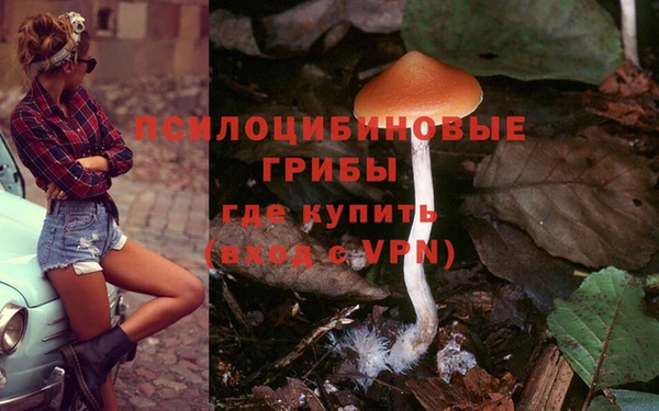 кокаин перу Касимов
