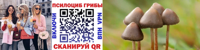 Псилоцибиновые грибы мицелий  Купить где  Любим 